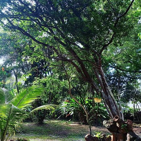Pousada Aldeia Banzae Imbassaí Exterior foto